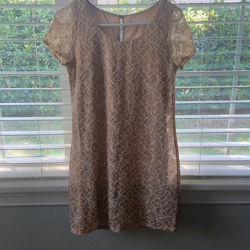 Lace Cream and Gold Dress